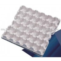 Egg Pulp Tray 30pcs (AA Size), egg tray, paper pulp, disposable tray, paper egg tray