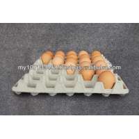 Disposable Egg Carton Tray